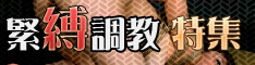 緊縛 調教